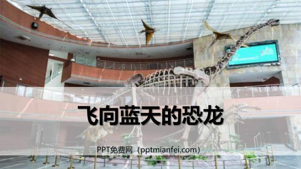飞向蓝天的恐龙PPT课件10