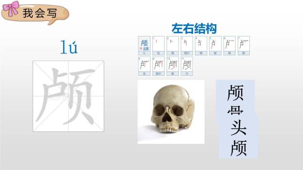 飞向蓝天的恐龙PPT课件17