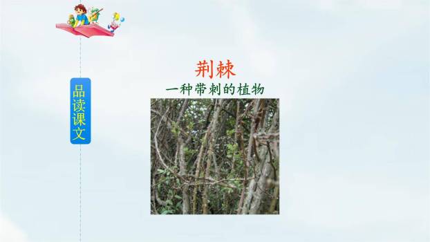 雷锋叔叔你在哪里PPT课件44