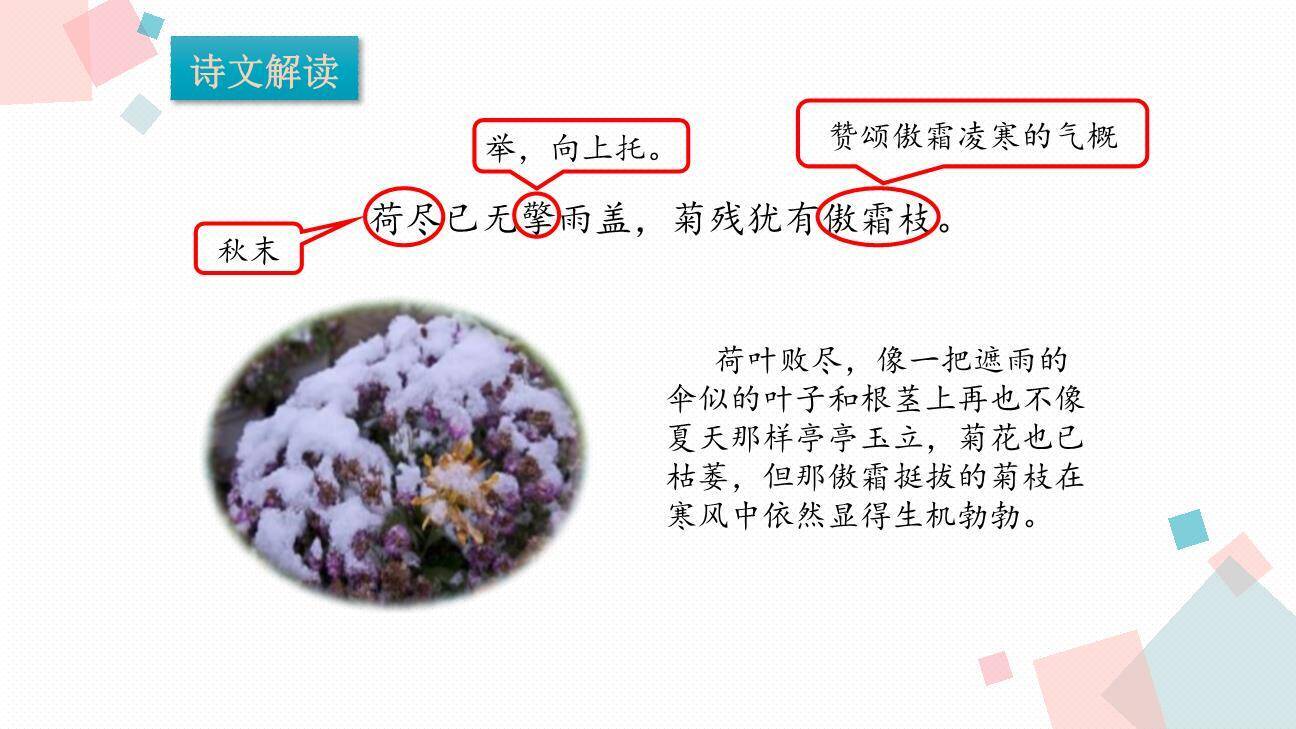 赠刘景文PPT课件25