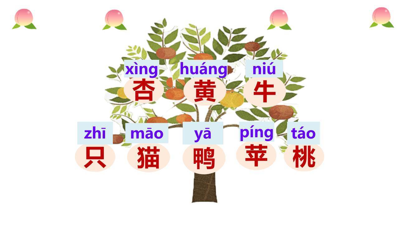 大小多少PPT课件59