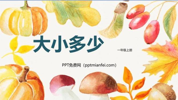 大小多少PPT课件50