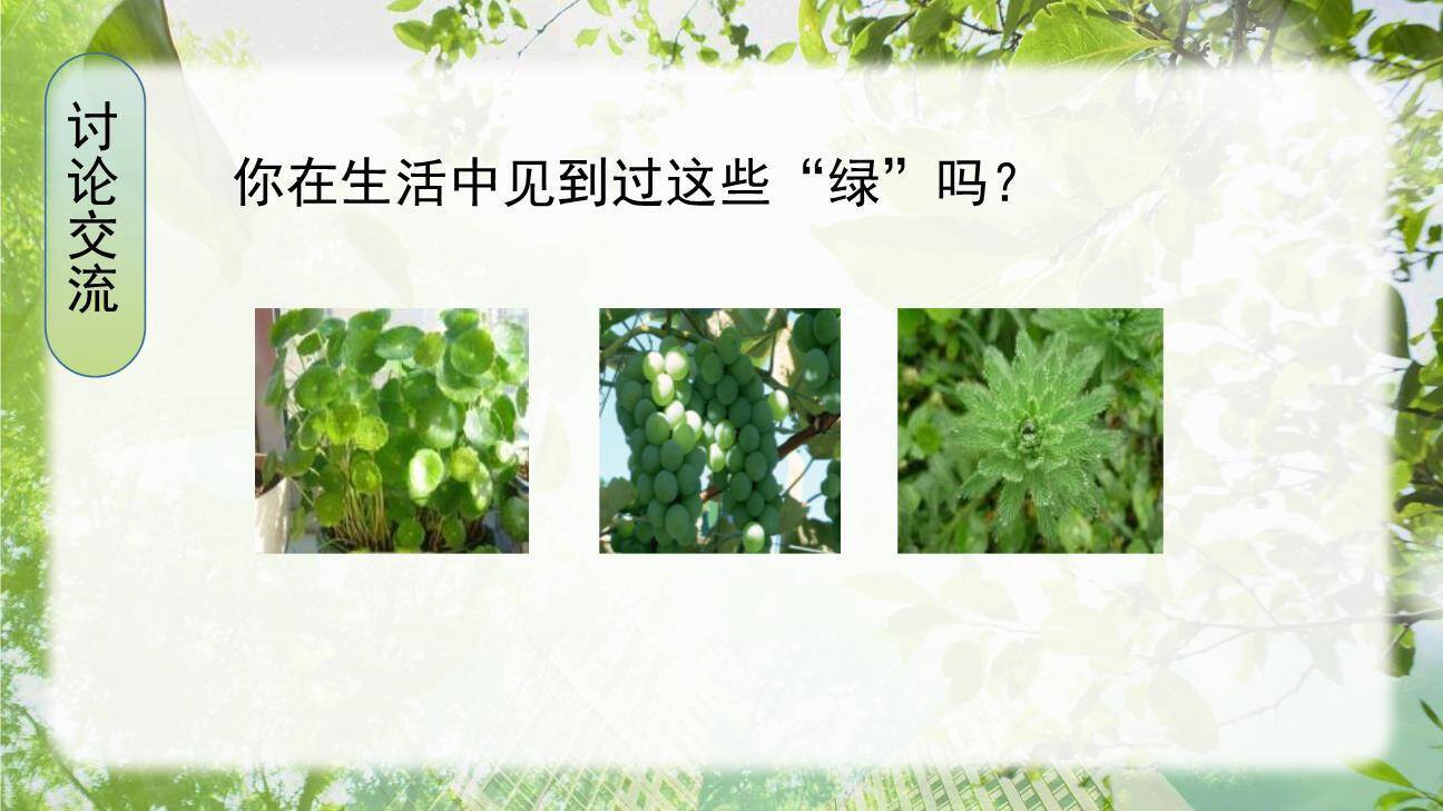 绿PPT课件62