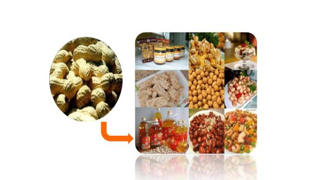 落花生PPT课件83