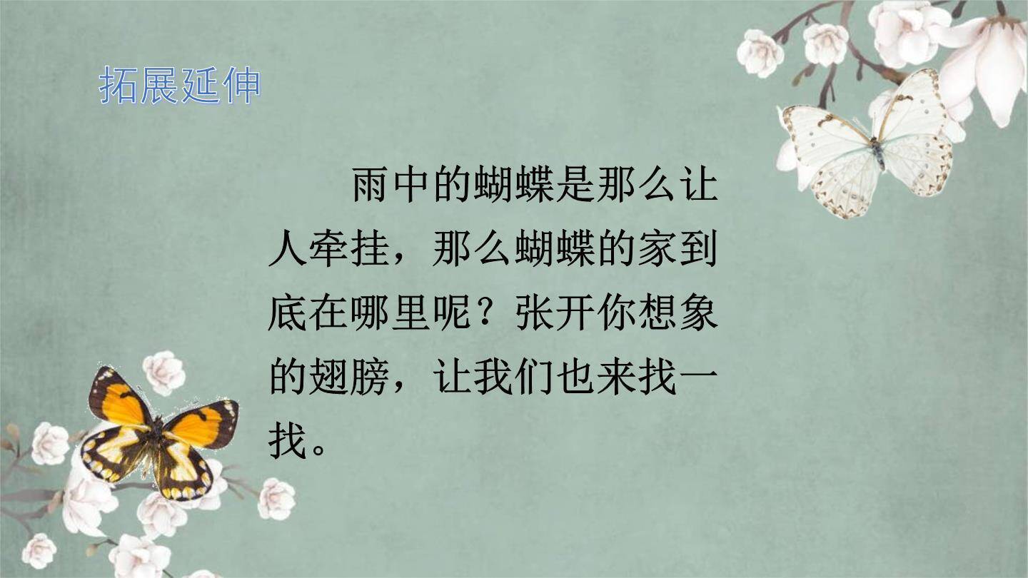 蝴蝶的家PPT课件69
