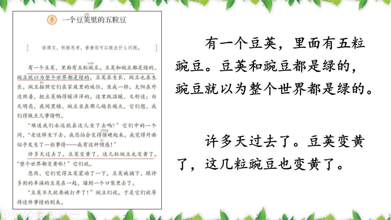 一个豆荚里的五粒豆PPT课件71