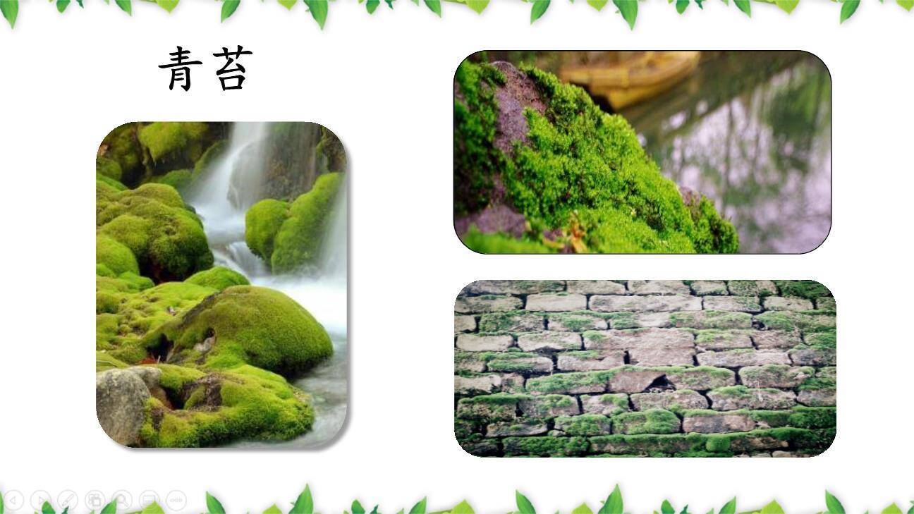 一个豆荚里的五粒豆PPT课件73