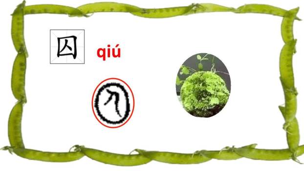 一个豆荚里的五粒豆PPT课件77