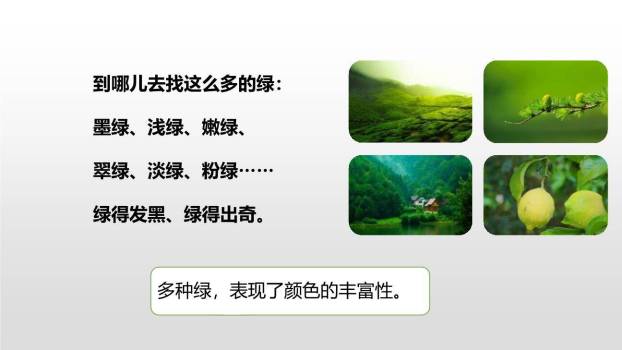 绿PPT课件33