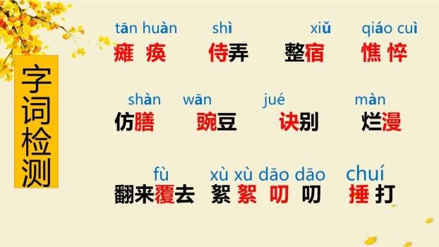 秋天的怀念PPT课件49