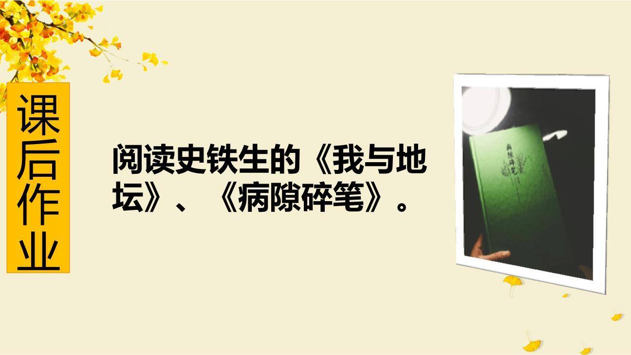 秋天的怀念PPT课件46