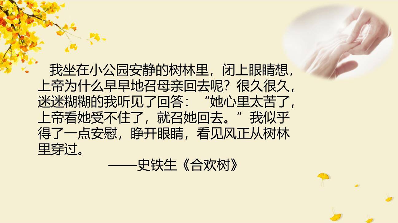 秋天的怀念PPT课件47