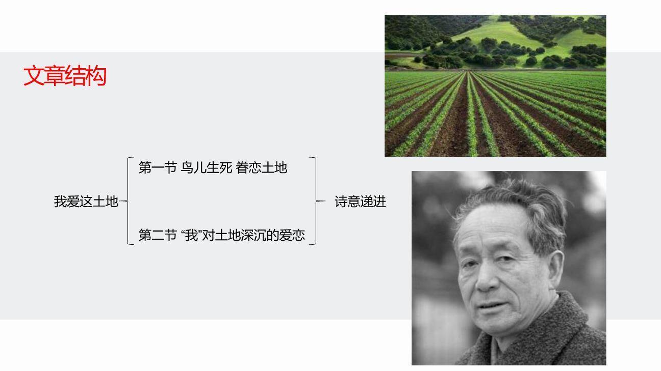 我爱这土地PPT课件27