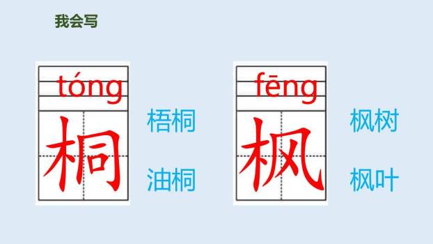 树之歌PPT课件24