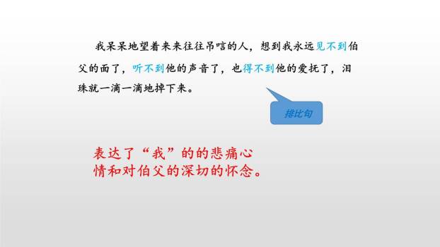 我的伯父鲁迅先生PPT课件47