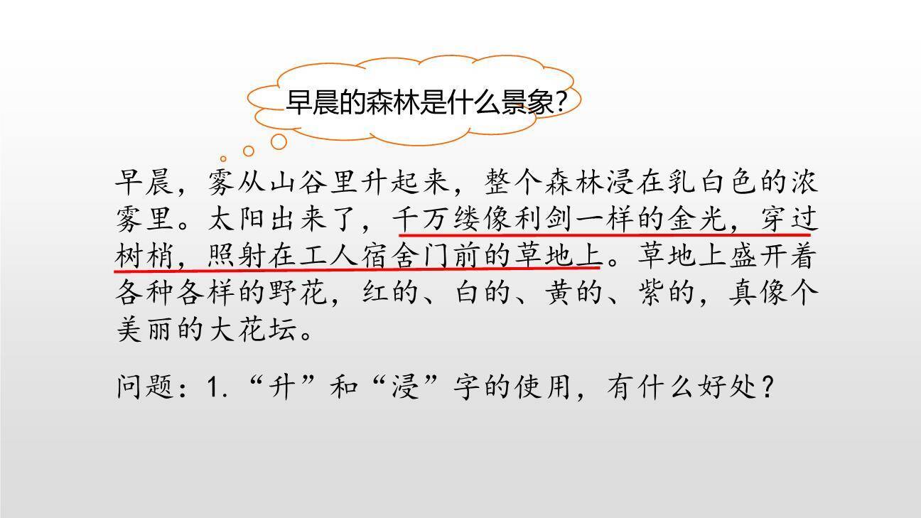 美丽的小兴安岭PPT课件78