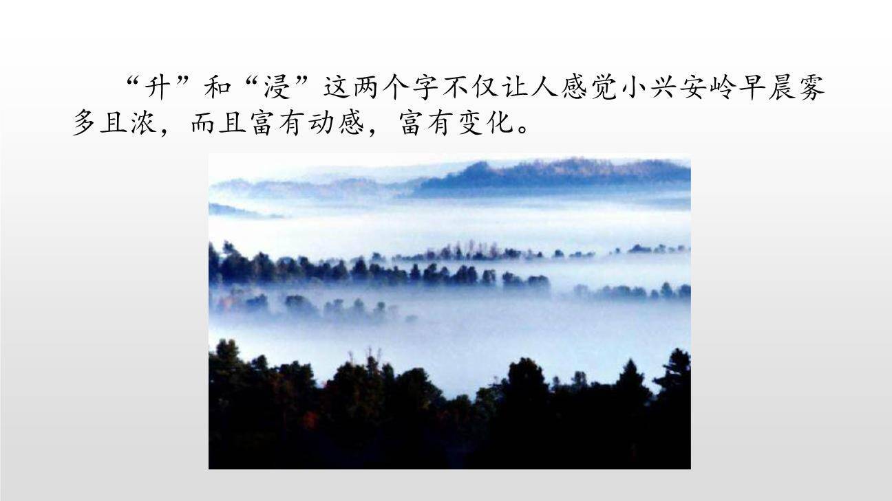 美丽的小兴安岭PPT课件79