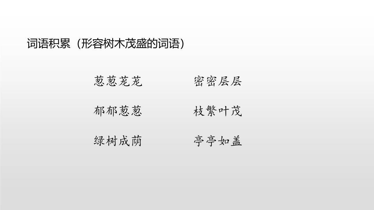 美丽的小兴安岭PPT课件77