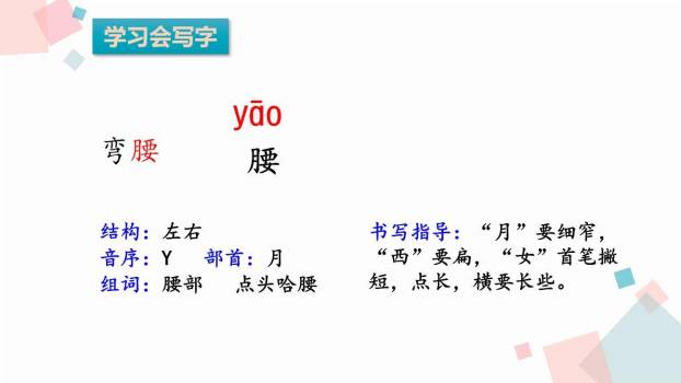 带刺的朋友PPT课件78