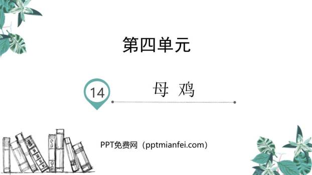 母鸡PPT课件20