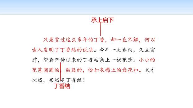 丁香结PPT课件28