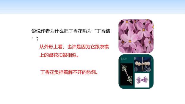 丁香结PPT课件29