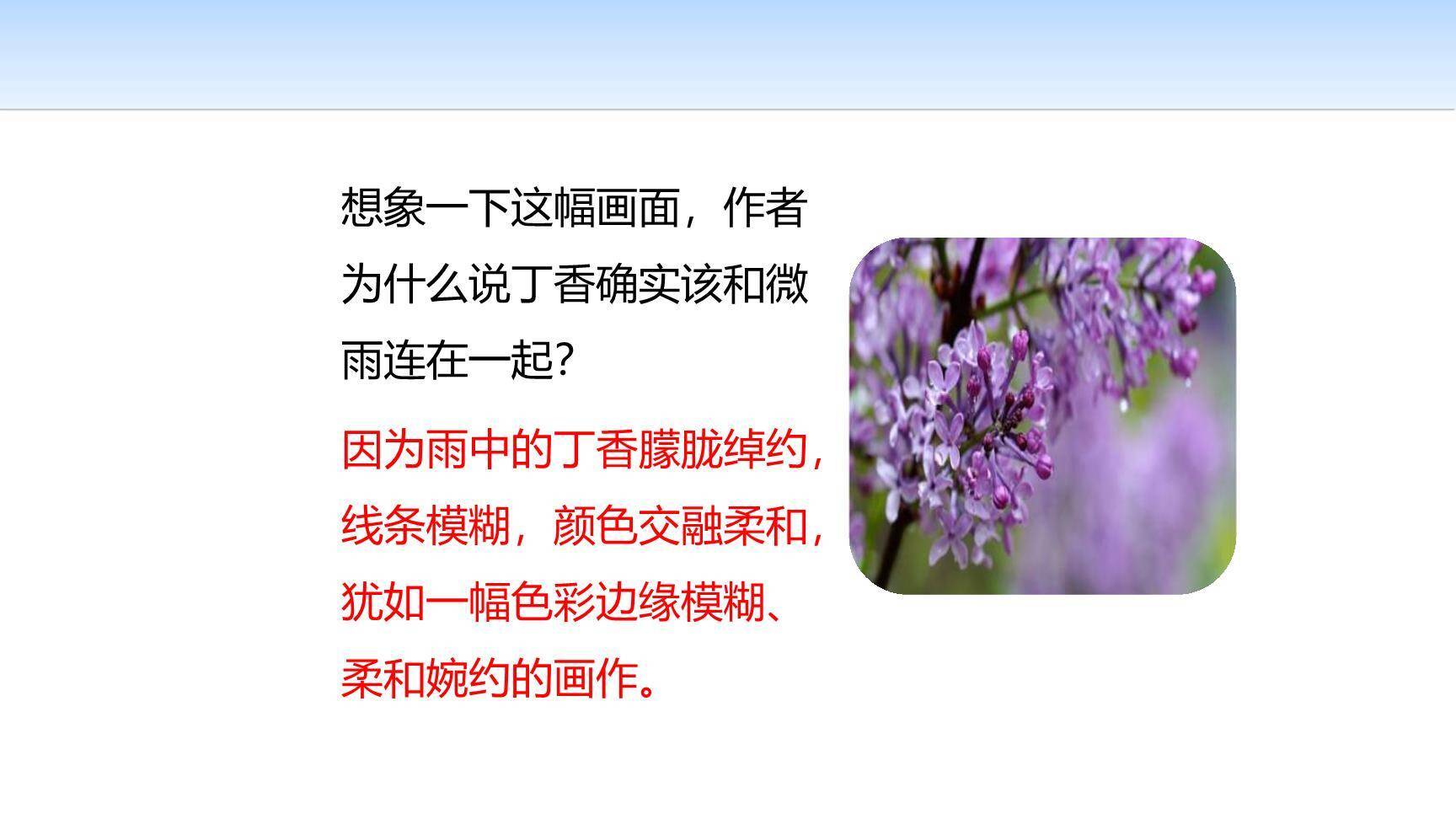 丁香结PPT课件26