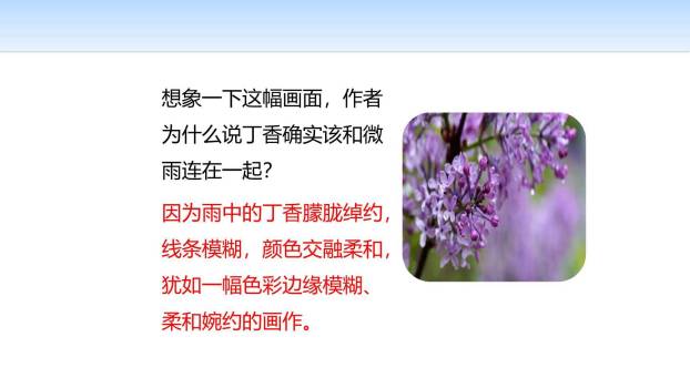 丁香结PPT课件26