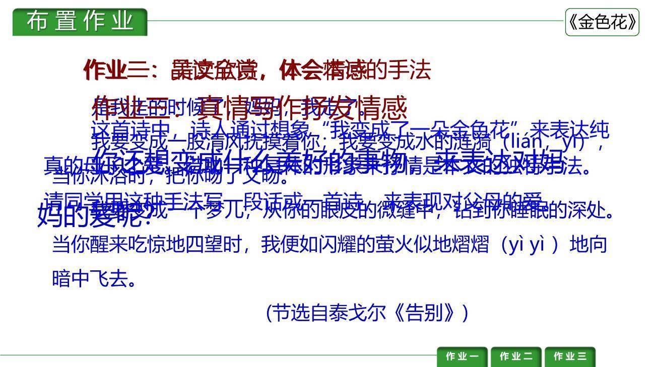 金色花PPT课件33