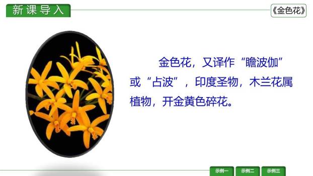 金色花PPT课件34