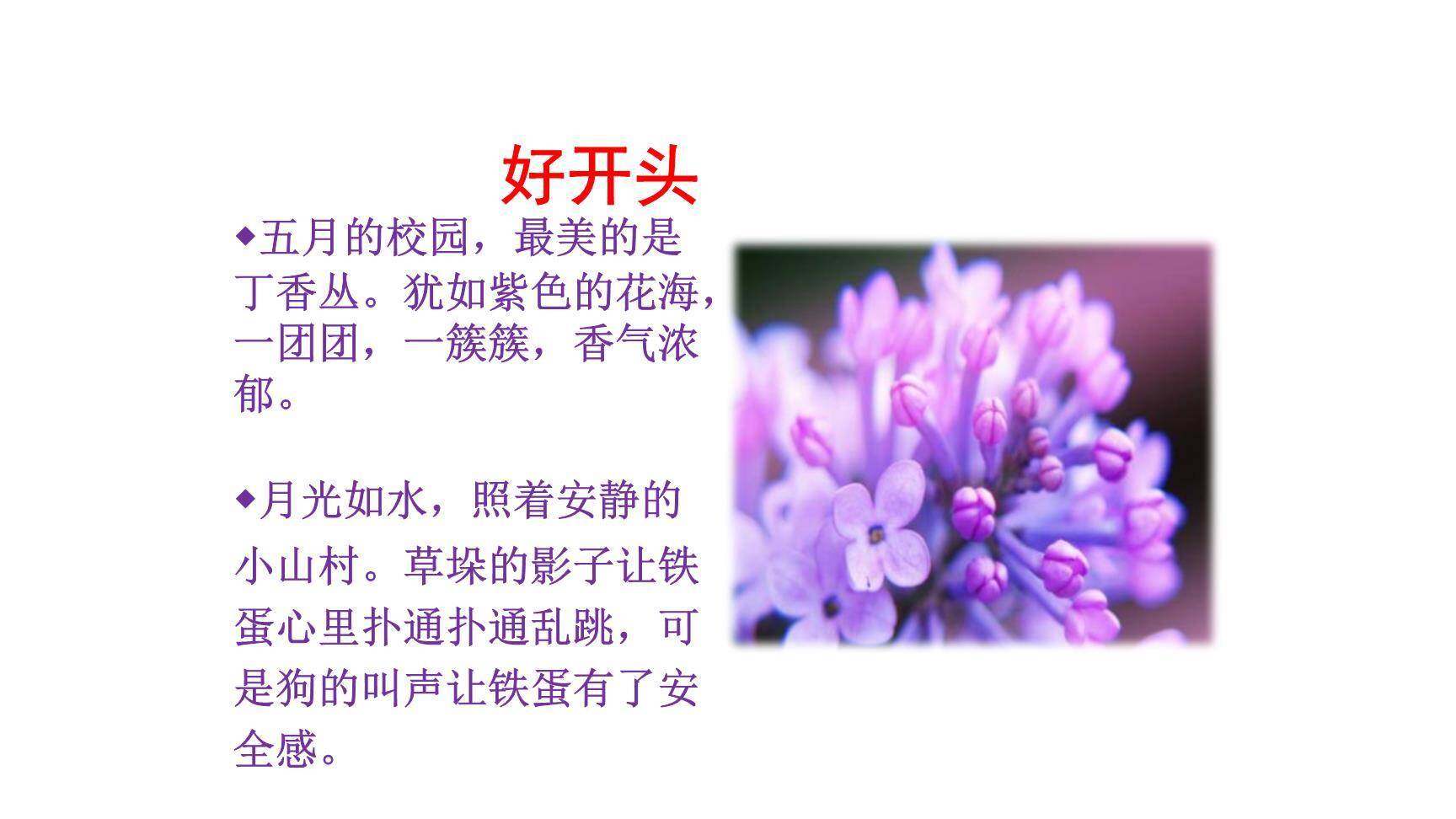 笔尖流出的故事PPT课件31