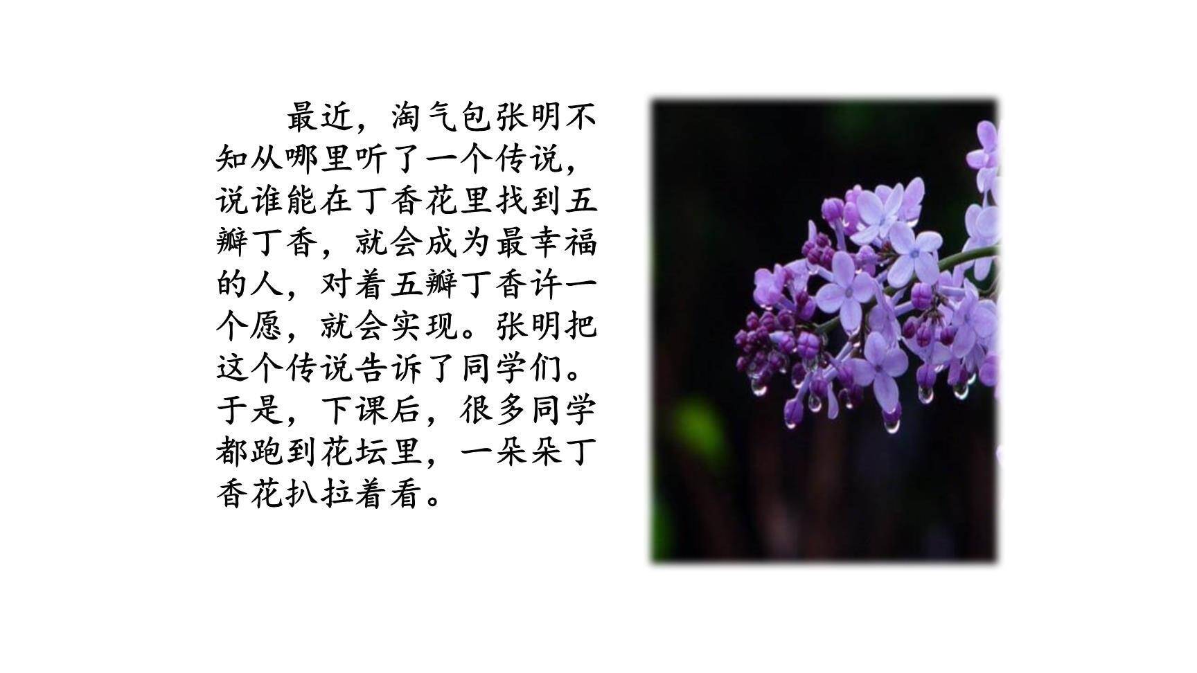 笔尖流出的故事PPT课件34