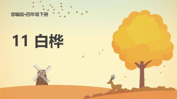 白桦PPT课件30