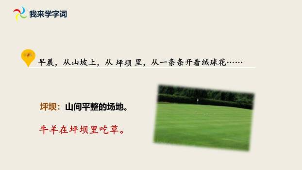 大青树下的小学PPT课件21