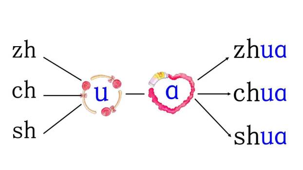 《zh ch sh r》PPT课件34