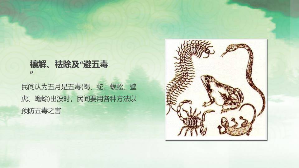 JI-00046端午佳节简介介绍PPT模板9