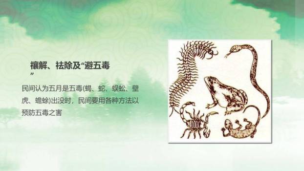 JI-00046端午佳节简介介绍PPT模板9