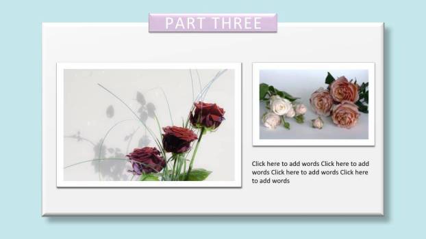 JI-00077感恩母亲节PPT模板下载8