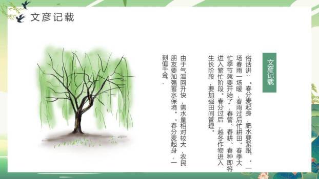 JI-00092国潮风春风节气介绍PPT模板8