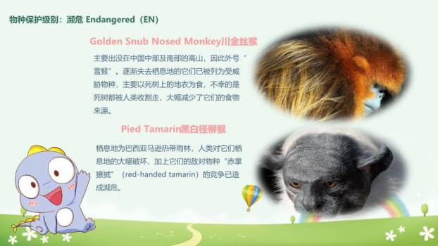 JI-000168卡通世界动物日介绍PPT模板8