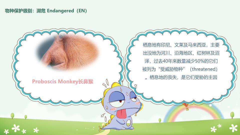 JI-000168卡通世界动物日介绍PPT模板9