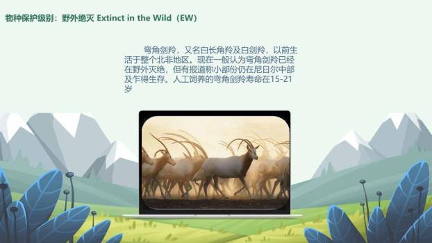 JI-000168卡通世界动物日介绍PPT模板1