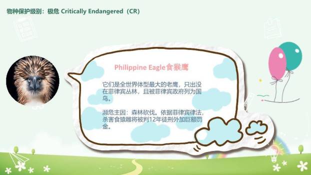 JI-000168卡通世界动物日介绍PPT模板3