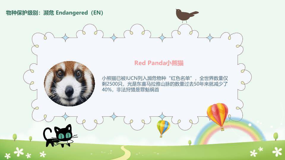 JI-000168卡通世界动物日介绍PPT模板6