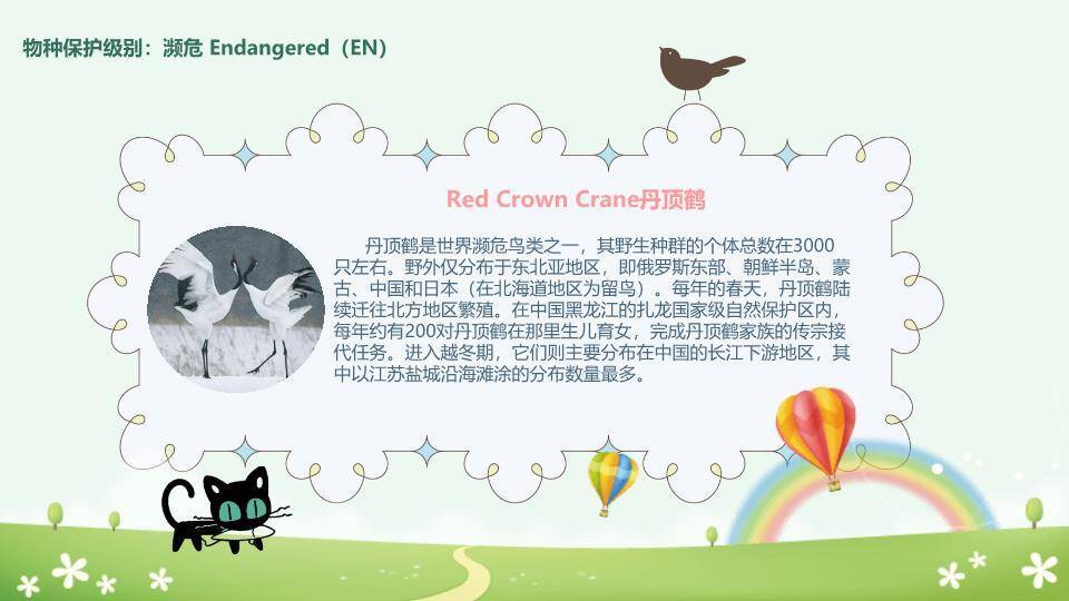 JI-000168卡通世界动物日介绍PPT模板7