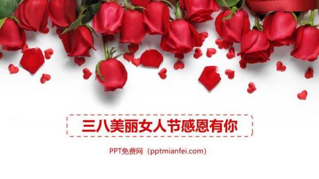 JI-000212玫瑰花三八女人节PPT模板0