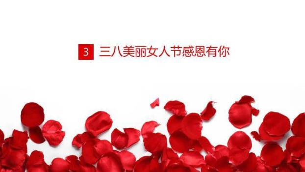 JI-000212玫瑰花三八女人节PPT模板6
