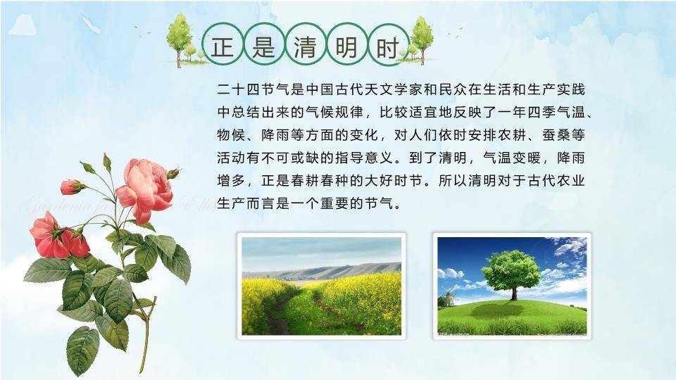 JI-000225牧童遥指杏花村清明节PPT模板3