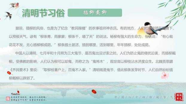 JI-000235清明节的由来传统习俗PPT模板4