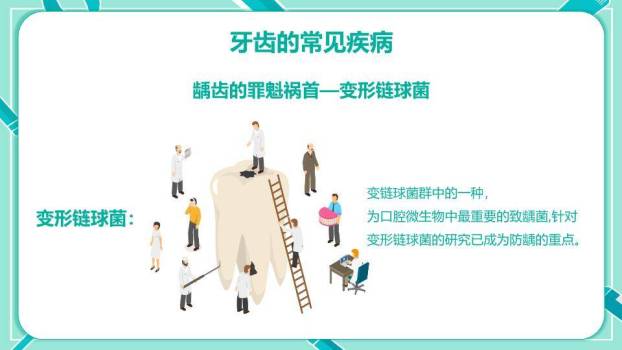 JI-000252全国爱牙日宣传知识PPT模板3